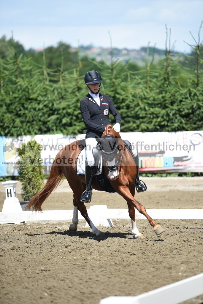 DSC_0244 | equestrian-live-com