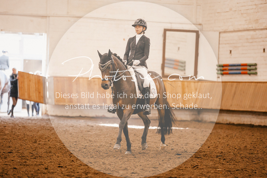 3I6A1978 | Stimmungsvolle Portraits und Reitsportfotografie im Ruhrgebiet und im Münsterland.

Pferdefotografie, Hundefotografie, Tierfotografie, Reportagen, Portraits von Tier und Mensch, Turnierfotografie in Bochum, Recklinghausen, Marl, Haltern am See, Dülmen.. - Realisiert mit Pictrs.com