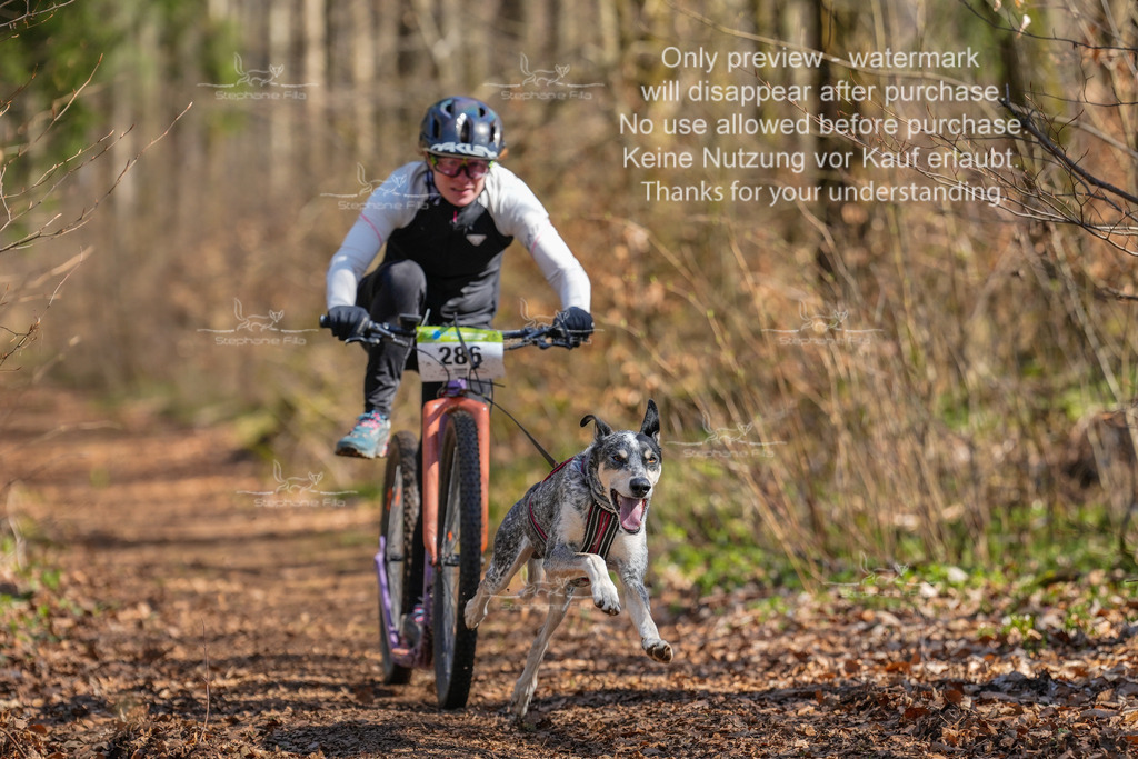 Scooter_kurz_So-2 | stephaniefillaphotographie - Realisiert mit Pictrs.com