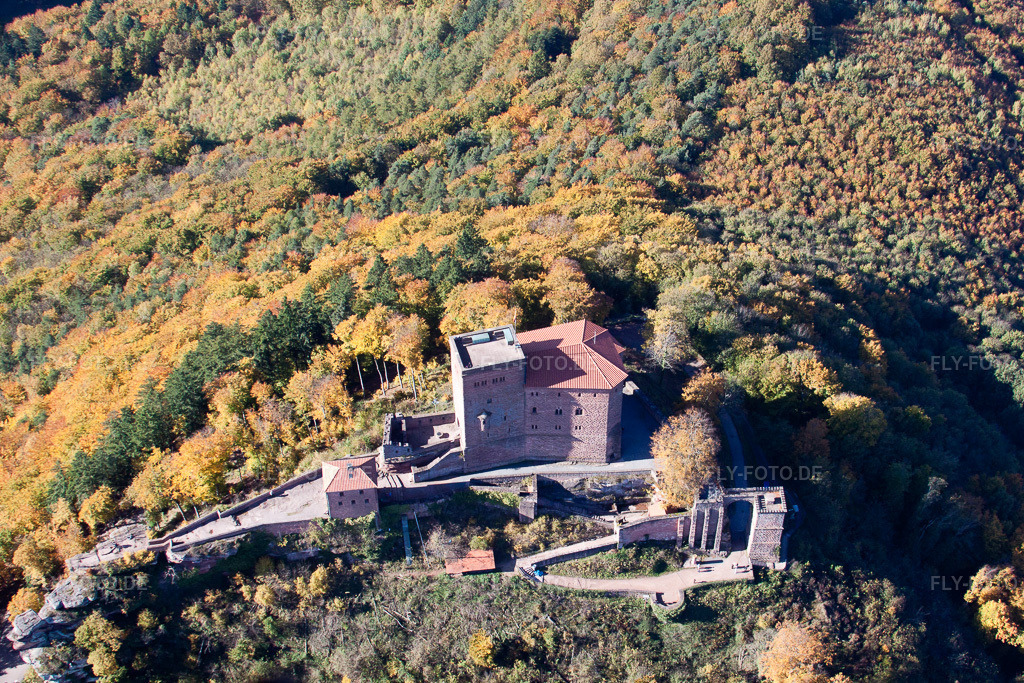 Luftbild: Vom Wald umgebende Burganlage der Reichsburg Trifels in Annweiler am Trifels im Bundesland Rheinland-Pfalz in Deutschland. Foto: IMG_34623.jpg vom 26.10.2010 durch Werner Riehm/FLY-FOTO.de