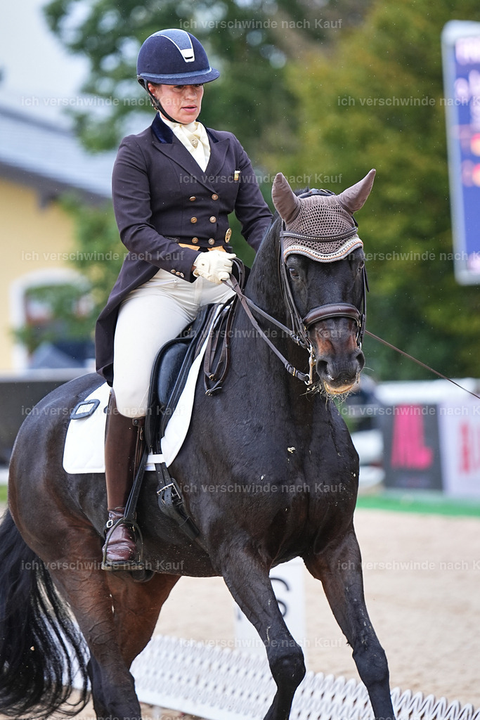 07-191-DRESSUR  S___  -Marixx-5127 | working equitationturnier fotograf videograf stoibphotography marixx film working equitation deutschland reitsport turnierfotografie eventfotografie equestrian events