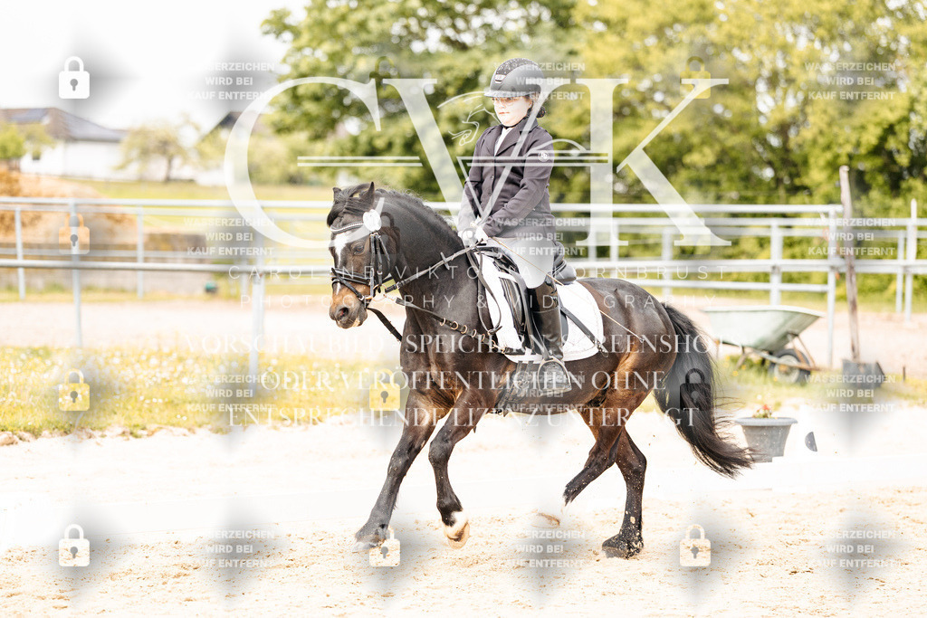 CK904374 | Turnierfotografie Pferdefotografie Trier Rheinland-Pfalz Pferdesport Reitsport Tierfotografie Sportfotografie Pferdevideo Pferdevideografie Equestrianvideography equestrianphotography  - Realisiert mit Pictrs.com