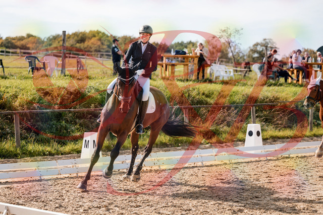 2026_10_03_Siefer-Hof_130349_Z63_66408840 | Professionelle Reitsport-, Turnier- und Eventfotografie von Robert Broda. Galerien mit ausgewählten und bearbeiteten Bildern direkt online ansehen und bestellen.