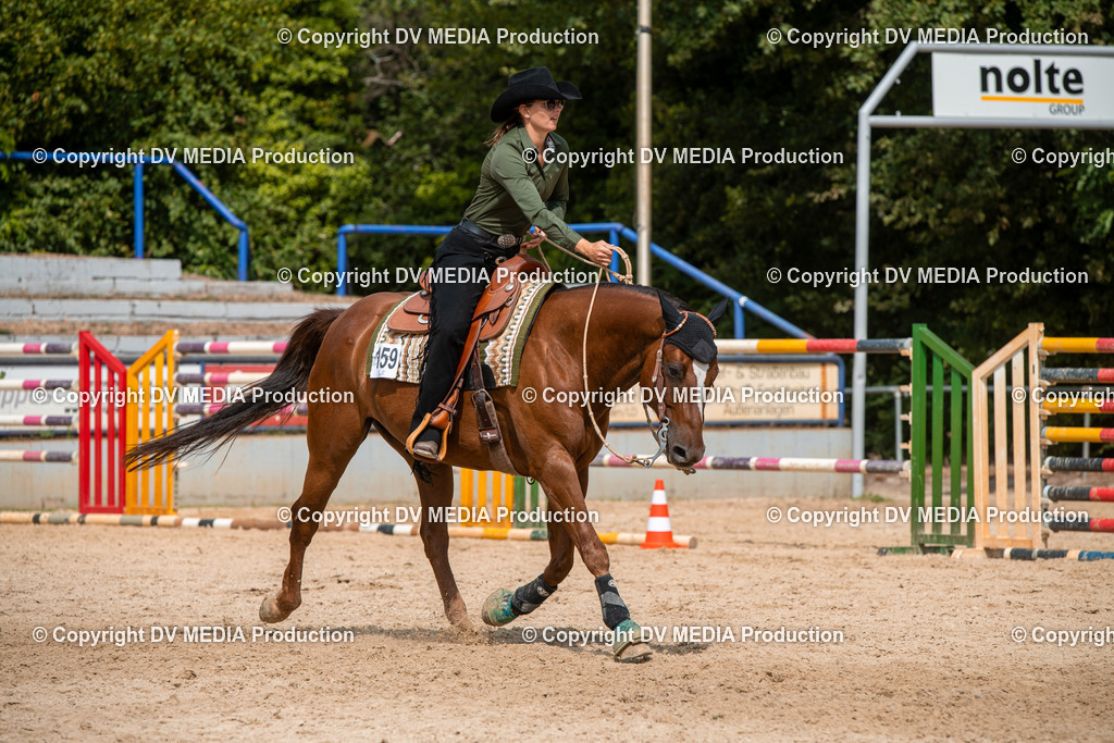 EWP_6010 | dv-media-shop - Realisiert mit Pictrs.com