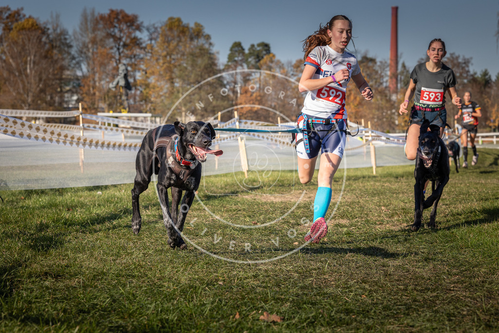 CaniXpix_0L8A8361 | Hundefotografie, Tierfotograf, Pfotenfotografie, Fotoshooting Hund, Hunde Portrait, Hundesport, Hundeportraits, Heideshooting, Hunde, Sportfotograf, Hundefotograf, Turnierhundsport, THS,  - Realisiert mit Pictrs.com