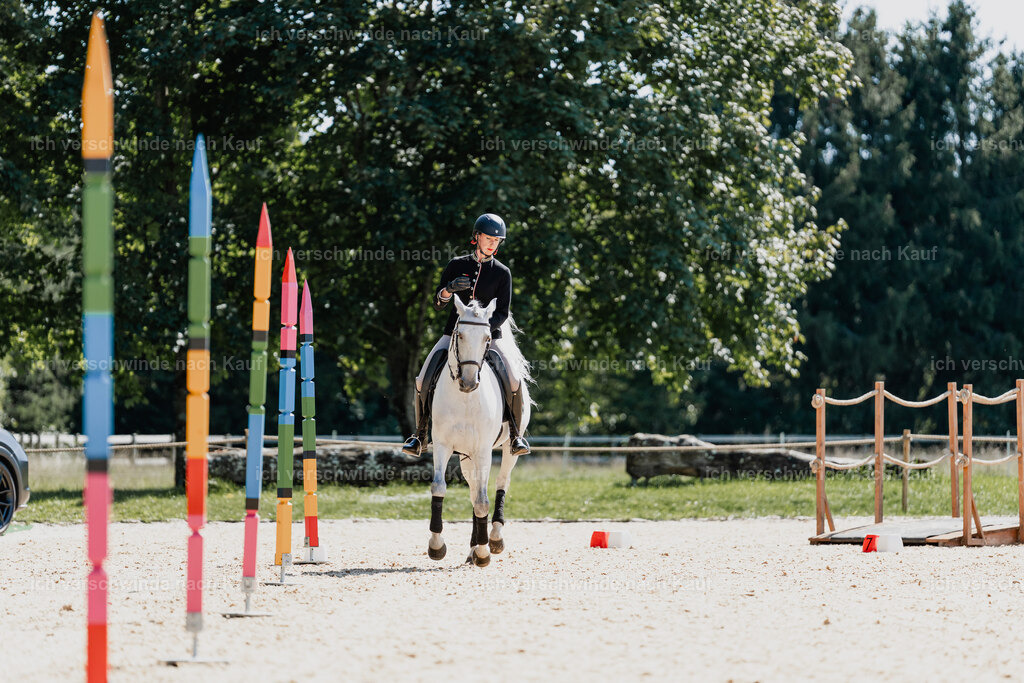 Virginie12FHC2025-08616 | working equitationturnier fotograf videograf stoibphotography marixx film working equitation deutschland reitsport turnierfotografie eventfotografie equestrian events