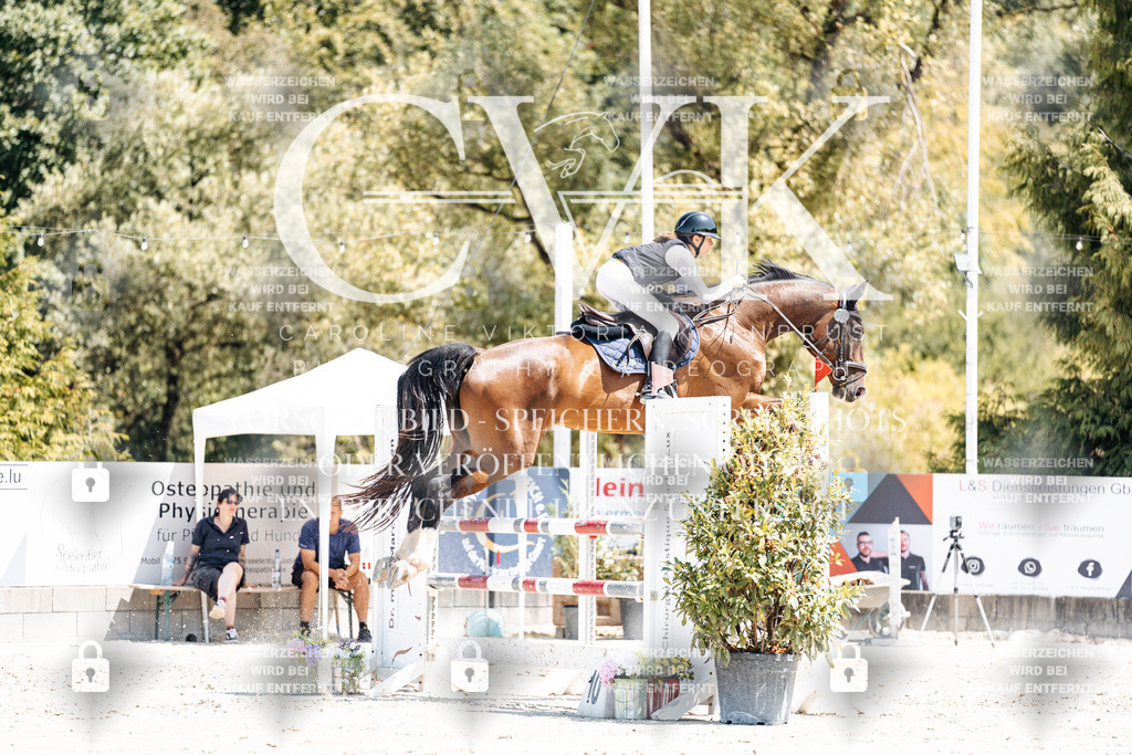 CK900359 | Turnierfotografie Pferdefotografie Trier Rheinland-Pfalz Pferdesport Reitsport Tierfotografie Sportfotografie Pferdevideo Pferdevideografie Equestrianvideography equestrianphotography  - Realisiert mit Pictrs.com