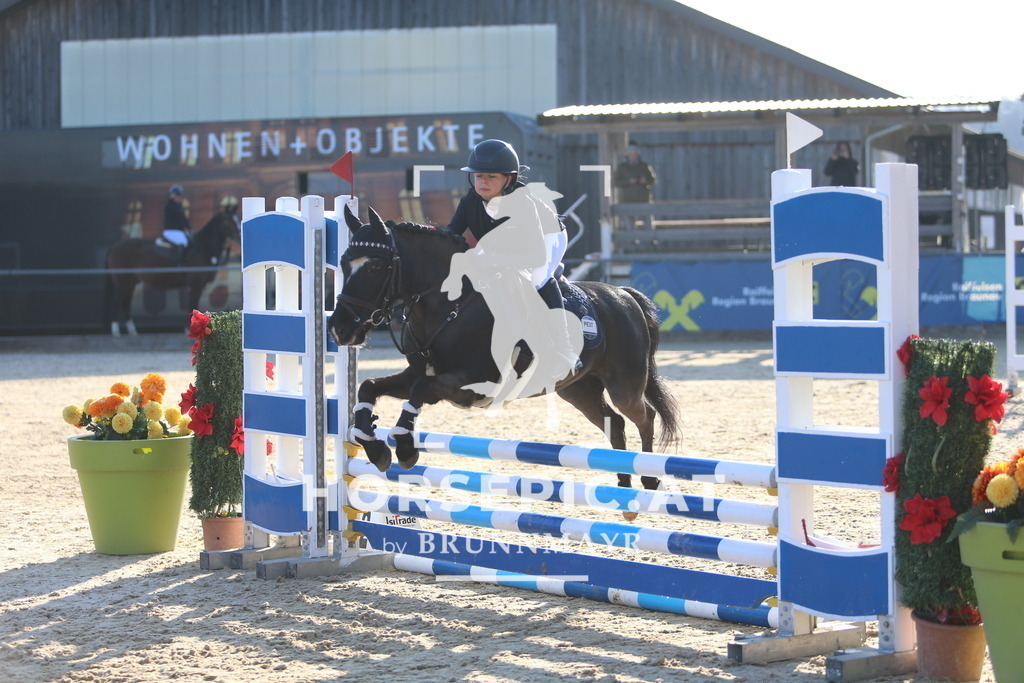 DL2Q1780 | Willkommen bei Brunnmayr - Design & Fotografie – Ihrem Spezialisten für Reitturniere und Pferdeveranstaltungen in Oberösterreich, Salzburg und Bayern! Seit über 17 Jahren sind wir leidenschaftlich dabei.