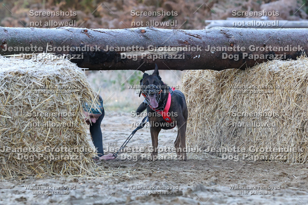 Dog Paparazzi - Strongdog 10-25-350 | Dog Paparazzi Jeanette Grottendiek Fotografie & Videografie - Realisiert mit Pictrs.com