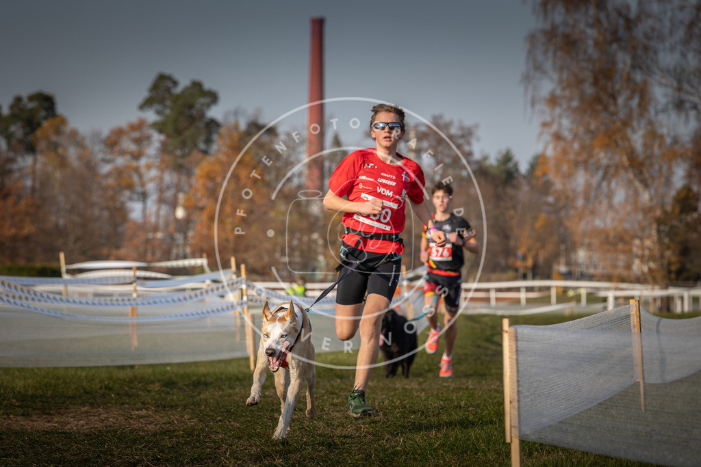 CaniXpix_0L8A9627 | Hundefotografie, Tierfotograf, Pfotenfotografie, Fotoshooting Hund, Hunde Portrait, Hundesport, Hundeportraits, Heideshooting, Hunde, Sportfotograf, Hundefotograf, Turnierhundsport, THS,  - Realisiert mit Pictrs.com