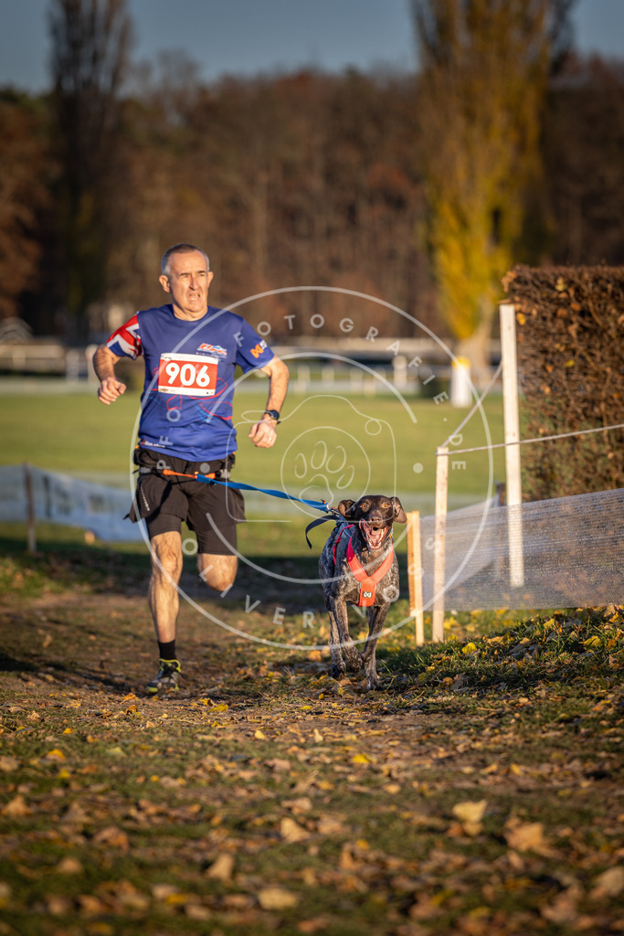 CaniXpix_DV3A4716 | Hundefotografie, Tierfotograf, Pfotenfotografie, Fotoshooting Hund, Hunde Portrait, Hundesport, Hundeportraits, Heideshooting, Hunde, Sportfotograf, Hundefotograf, Turnierhundsport, THS,  - Realisiert mit Pictrs.com