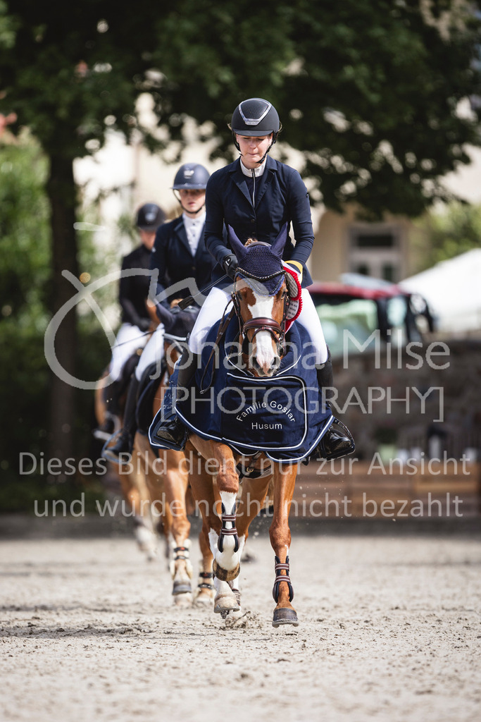 240616_Lemwerder_A2-Spr-225 | Deine schönsten Turniermomente als professionelle Fotos! Entdecke hochwertige Pferdesport-Fotografie im Online-Shop. Jetzt Fotos finden & bestellen!