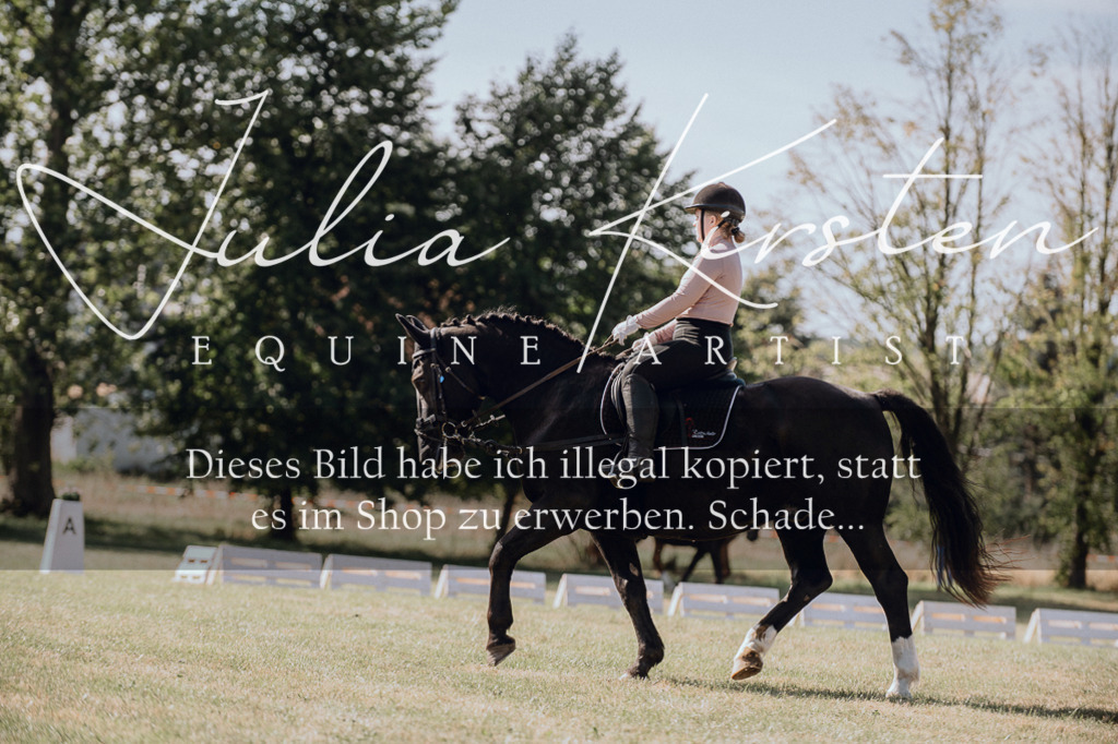 DSC_7068 | Pferde- und Turnierfotografie in Westsachsen. Pferdeportraits, Auftragszeichnungen und intuitive Kunst.