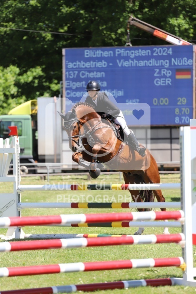 IMG_6332 | Pauline Ullmann Photography - Realisiert mit Pictrs.com