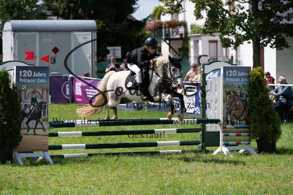 A7V04247 | Pferdefotograf