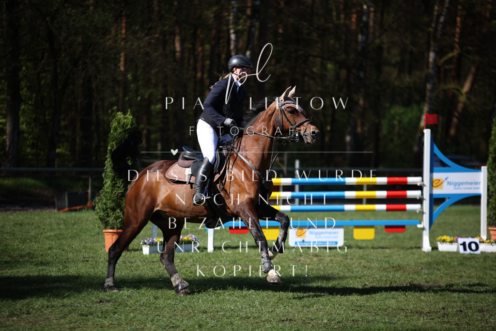 IMGT0503 | pl-fotografie