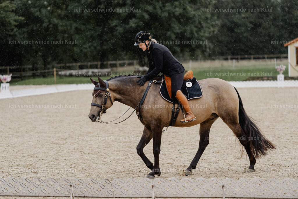 Katja7_FHC2025-8547 | working equitationturnier fotograf videograf stoibphotography marixx film working equitation deutschland reitsport turnierfotografie eventfotografie equestrian events