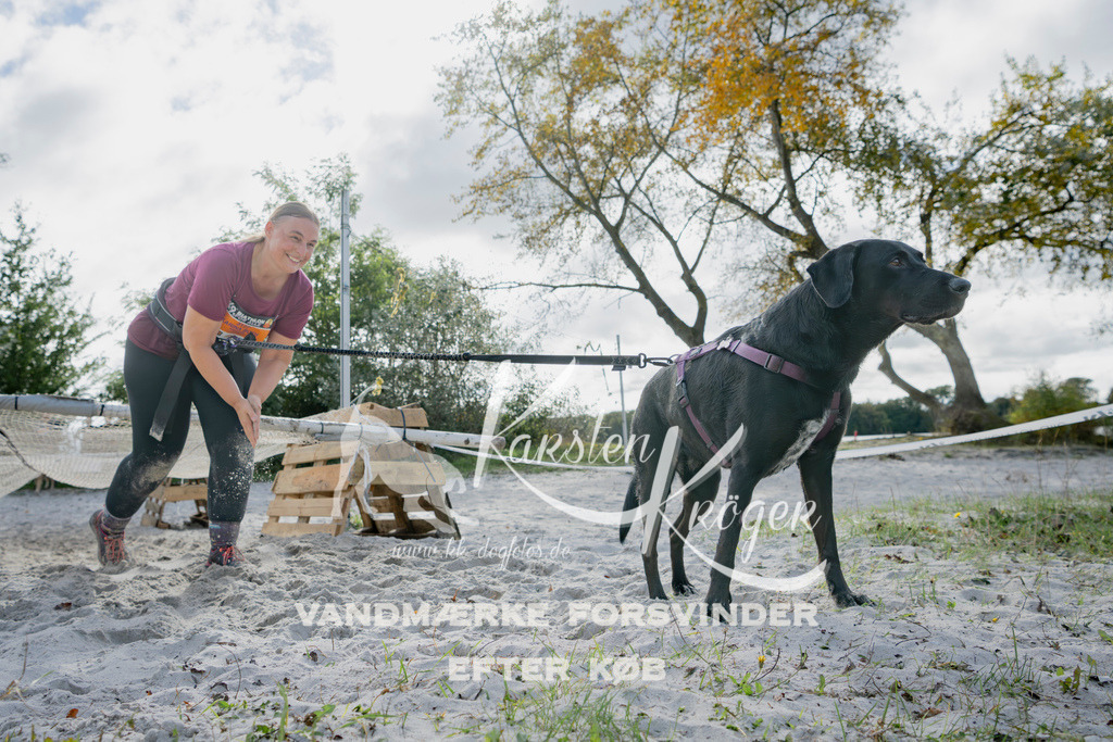 1324_ZZ96362 | kk-dogfotos