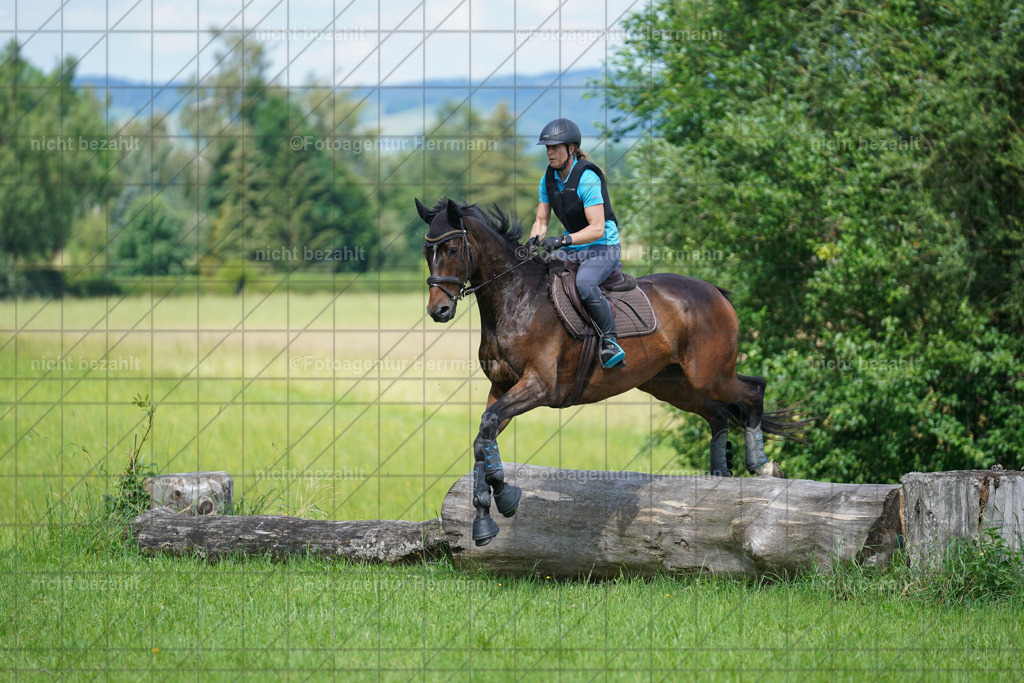 20240622-FAH07654 | Turnierfotografen Bayern, Reitsportbilder aus dem Geländekurs mit Felix Etzel auf dem Gut Waitzacker 2024