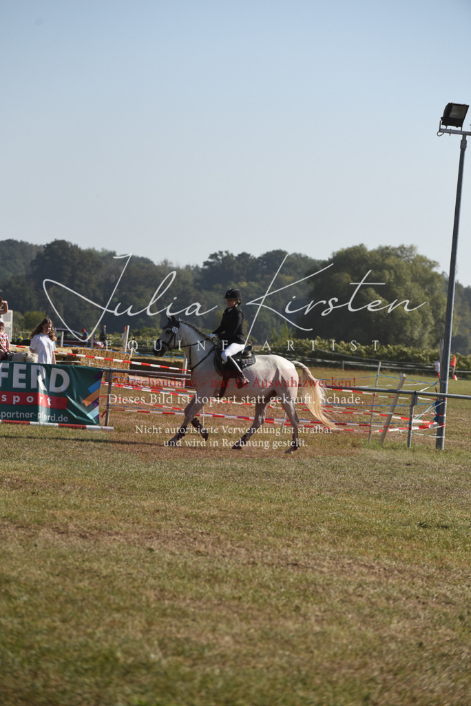 DSC_5856 | Pferde- und Turnierfotografie in Westsachsen. Pferdeportraits, Auftragszeichnungen und intuitive Kunst.