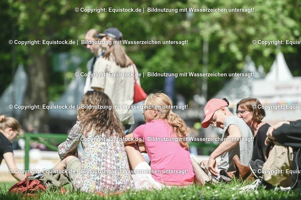 D78_2918 | equistock