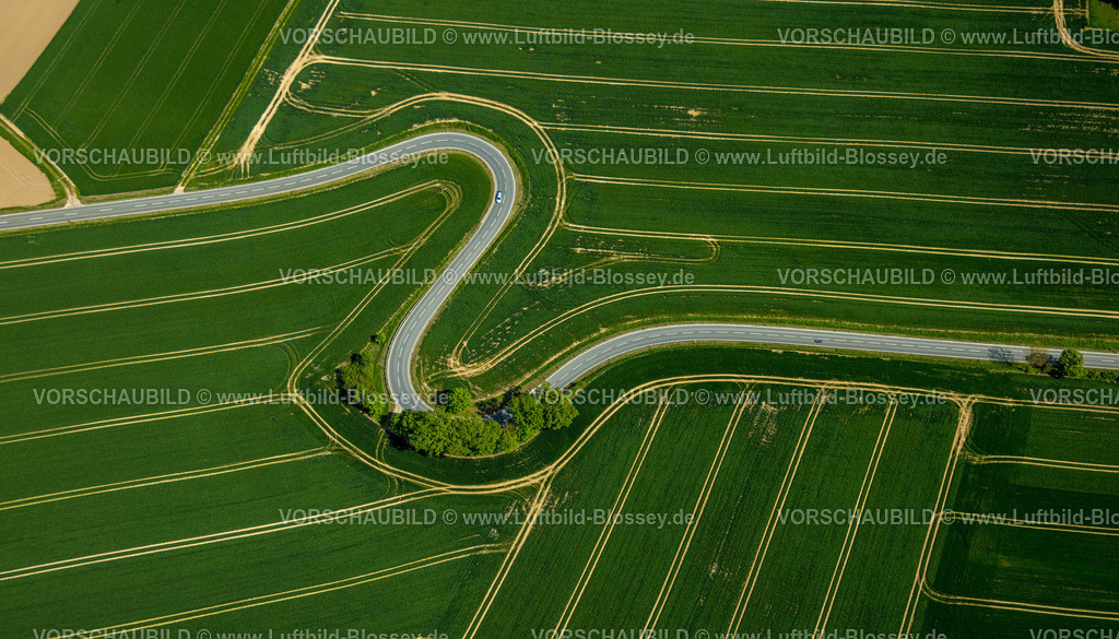 Brakel240504895Erkeln | Luftbild, Serpentine der Landesstraße L863, schlangenförmige Straße führt durch grüne gestreifte Felder, Baumgruppe am Straßenrand, Erkeln, Brakel, Ostwestfalen, Nordrhein-Westfalen, Deutschland