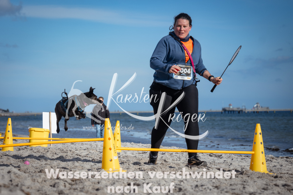 1340_ZZ92565 | kk-dogfotos