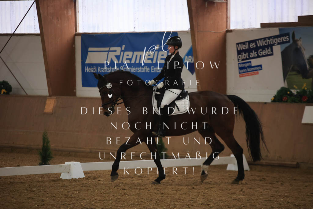 IMGT0958 | pl-fotografie