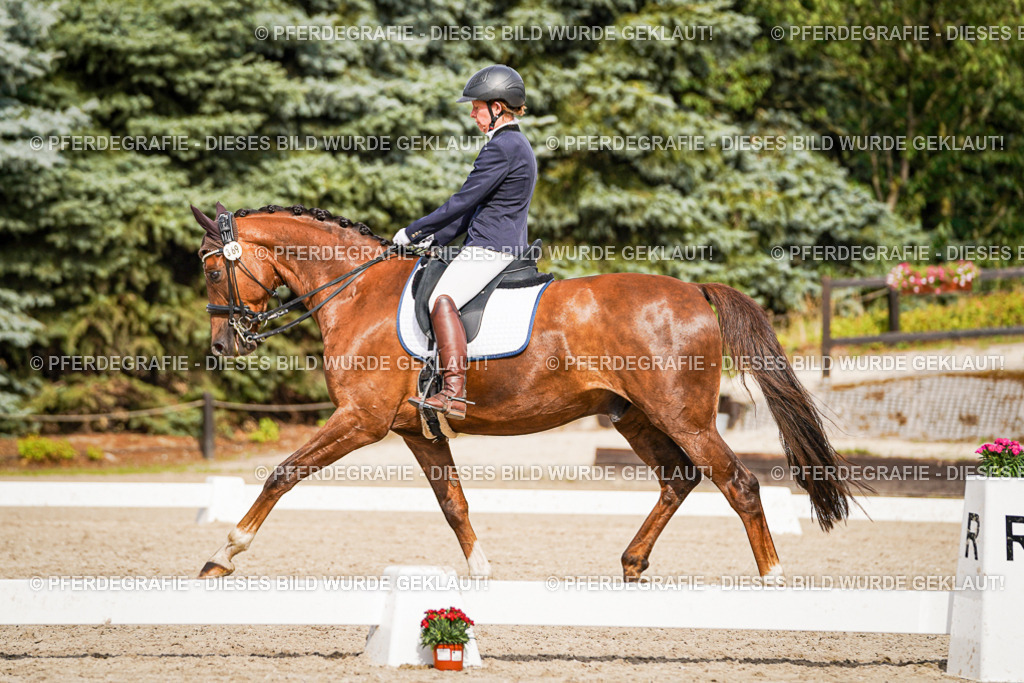 DSC06942 | Pferdegrafie