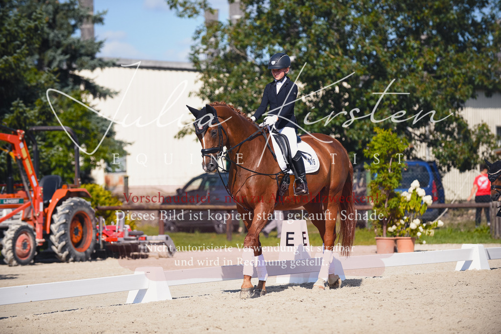 DSC_0019 | Pferde- und Turnierfotografie in Westsachsen. Pferdeportraits, Auftragszeichnungen und intuitive Kunst.