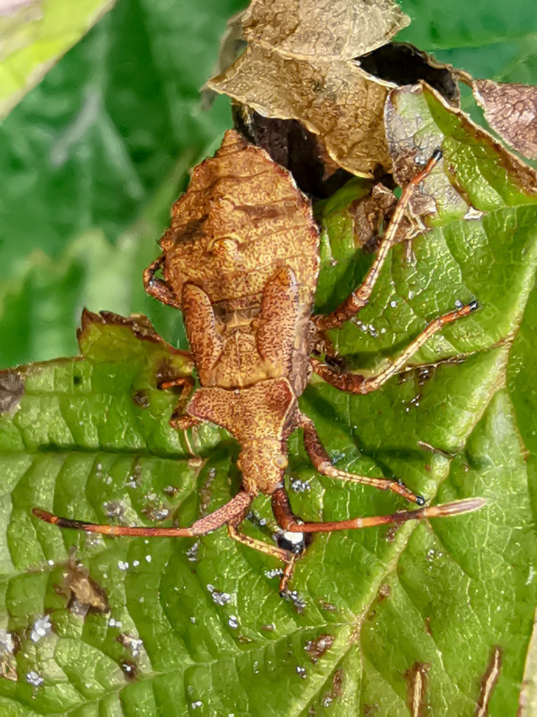 PSX_20230908_221610 | mtkfoto_ - Realisiert mit Pictrs.com