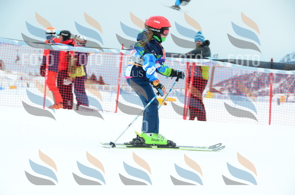 DSC_0750 | holidayphoto