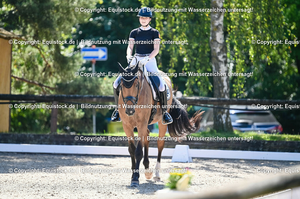 20230908_06_Dressur-L-Trense_0795 | equistock