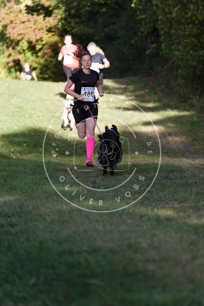 0L8A5395 | Hundefotografie, Tierfotograf, Pfotenfotografie, Fotoshooting Hund, Hunde Portrait, Hundesport, Hundeportraits, Heideshooting, Hunde, Sportfotograf, Hundefotograf, Turnierhundsport, THS,  - Realisiert mit Pictrs.com