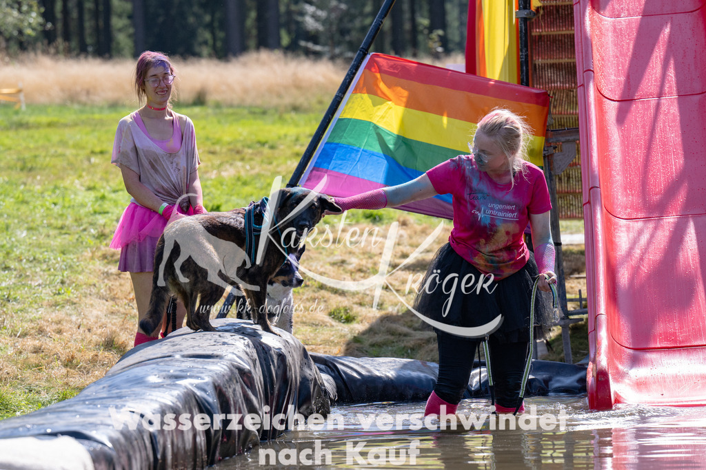 1414_ZZ94017 | kk-dogfotos