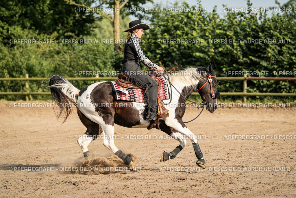 DSC05563 | Pferdegrafie