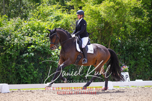 DKP41012 | Turnierfotos kaufen im Webshop von Daniel Kuhl Photography – entdecke professionelle Reitsportfotos aus Turnieren & Events. Hochwertige Turnierbilder online bestellen & sichern. Jetzt Fotos von Reitsportturnieren kaufen!
