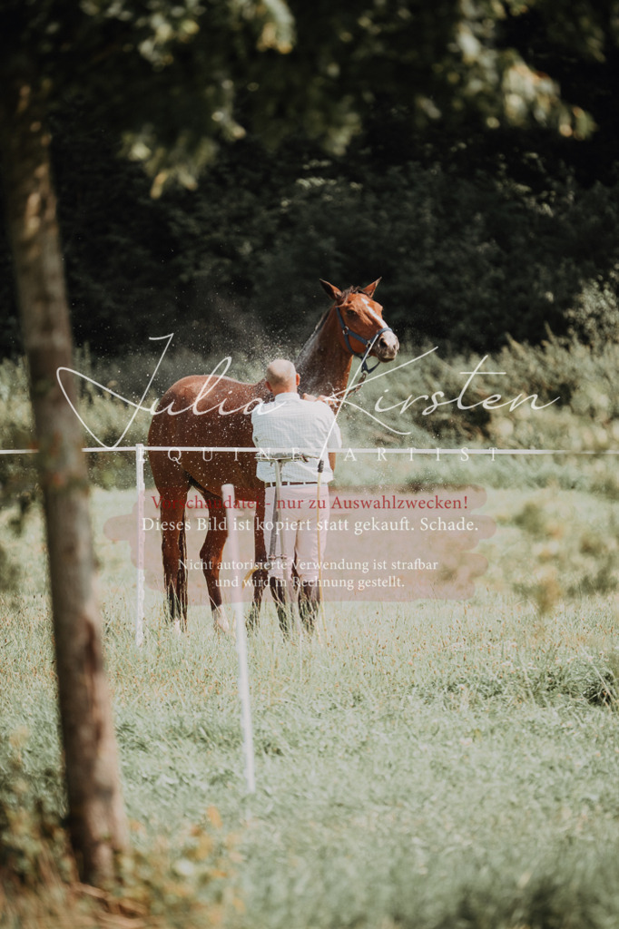 DSC_0572 | Pferde- und Turnierfotografie in Westsachsen. Pferdeportraits, Auftragszeichnungen und intuitive Kunst.