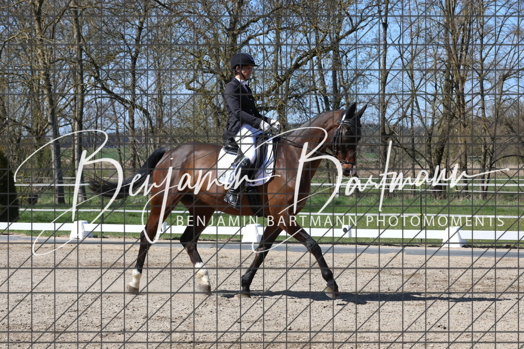 AZ2A4389 | Benjamin Bartmann Photomoments