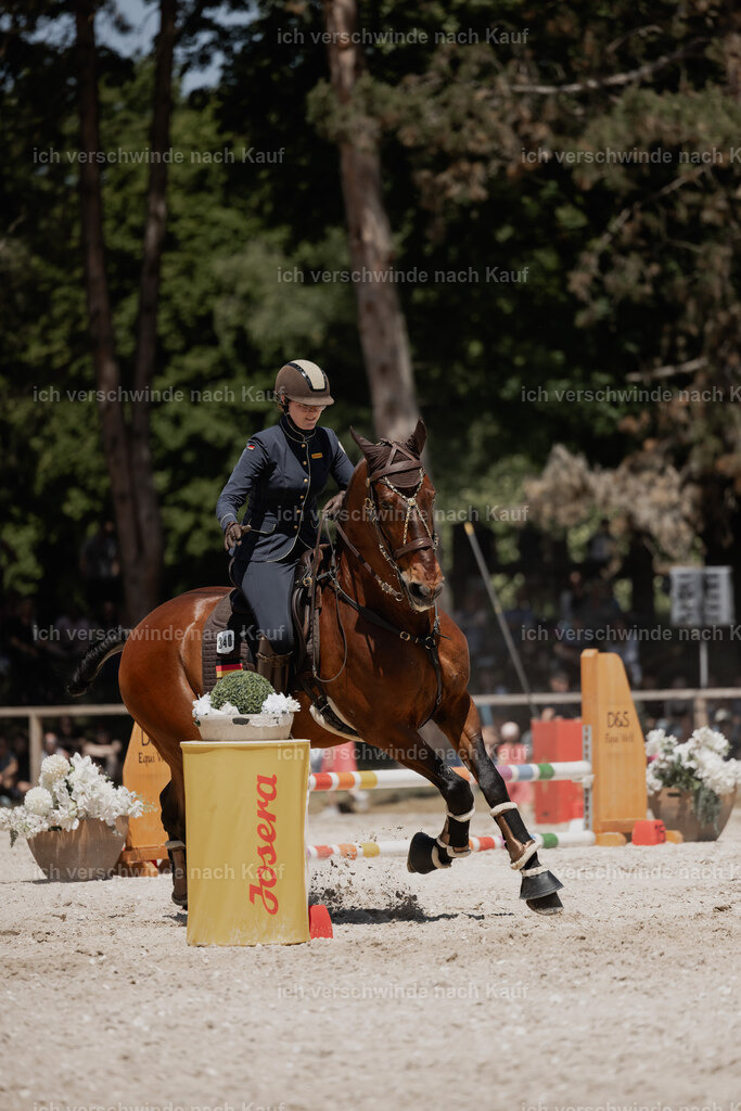 WE_SP_Stoib_340_PI2025_1948 | Pferd International München 2025