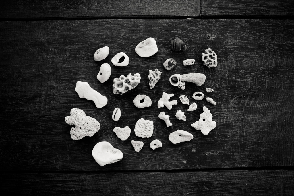 IMG_4896-2 | AHORN PHOTOGRAPHY - Realisiert mit Pictrs.com