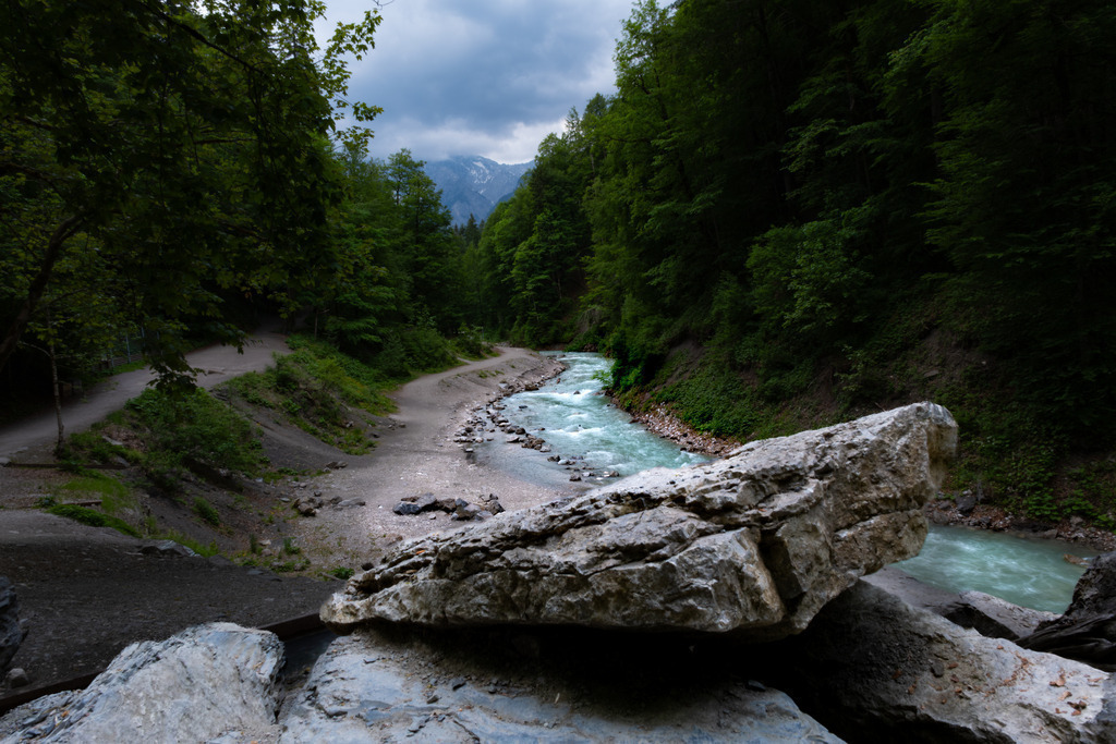 DSCF7043-4 | Tier- & Landschaftsfotografie und Porträtshootings. Entdecke einzigartige Fotokunst als Wandbild, Tasse oder Mauspad – mit Leidenschaft fotografiert - Realisiert mit Pictrs.com