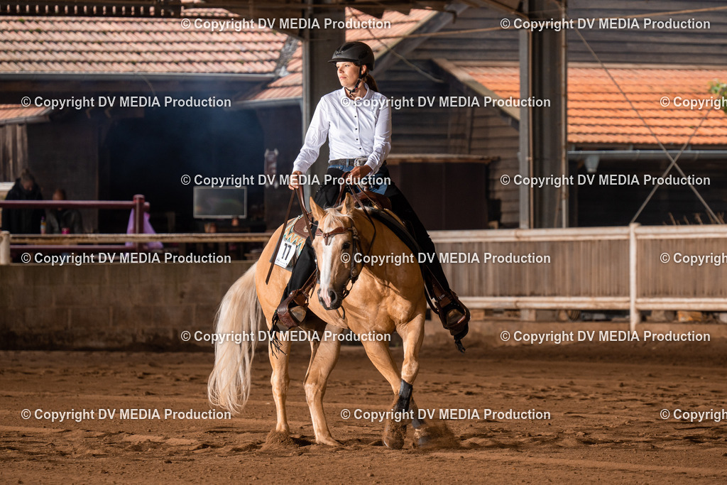 Erbach Tag 3-792 | dv-media-shop - Realisiert mit Pictrs.com