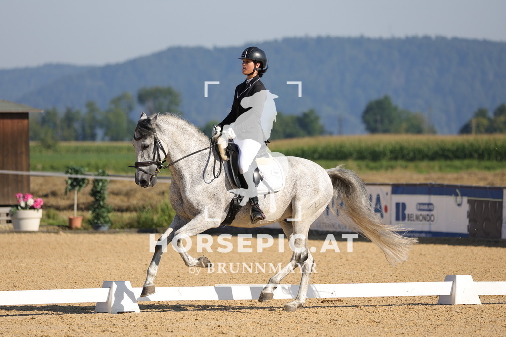 0P6A8712 | Willkommen bei Brunnmayr - Design & Fotografie – Ihrem Spezialisten für Reitturniere und Pferdeveranstaltungen in Oberösterreich, Salzburg und Bayern! Seit über 17 Jahren sind wir leidenschaftlich dabei.