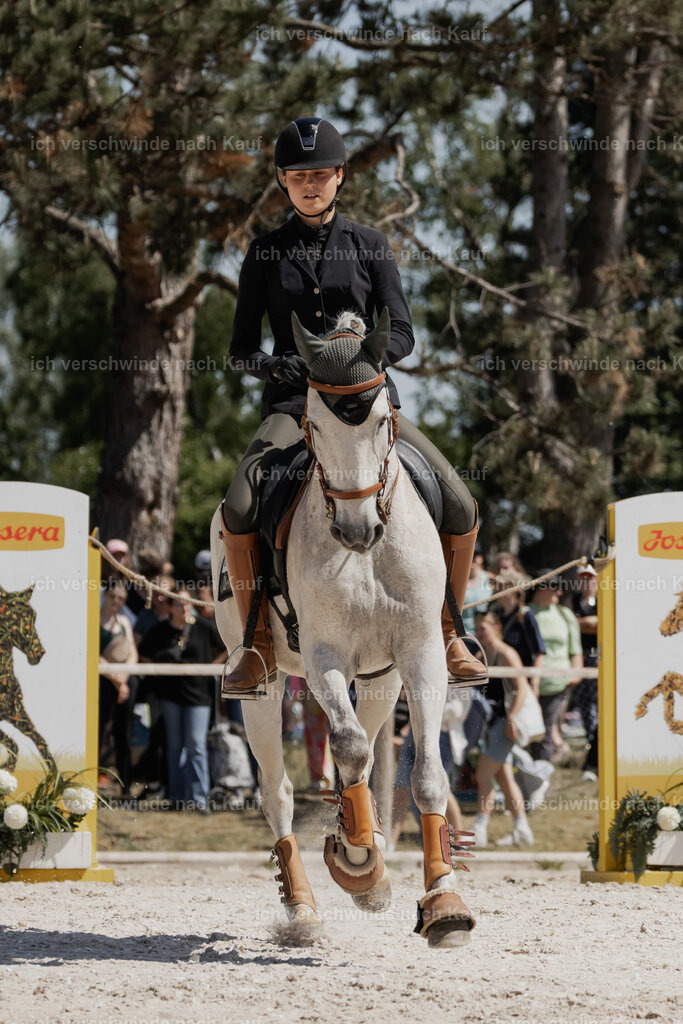 WE_SP_Stoib_336_PI2025_1684 | Pferd International München 2025