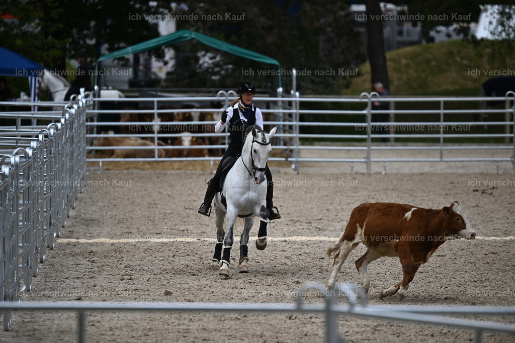 PI26_COW_Sara Landvogt226_7608.JPG | working equitationturnier fotograf videograf stoibphotography marixx film working equitation deutschland reitsport turnierfotografie eventfotografie equestrian events