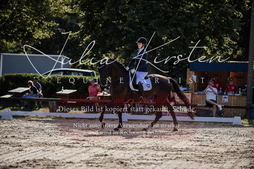 DSC_0572 | Pferde- und Turnierfotografie in Westsachsen. Pferdeportraits, Auftragszeichnungen und intuitive Kunst.