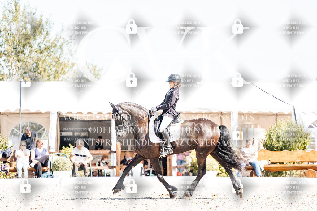 CK904049 | Turnierfotografie Pferdefotografie Trier Rheinland-Pfalz Pferdesport Reitsport Tierfotografie Sportfotografie Pferdevideo Pferdevideografie Equestrianvideography equestrianphotography  - Realisiert mit Pictrs.com
