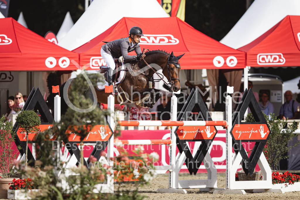 230903_HKM-BCH_Finale6j-117 | Deine schönsten Turniermomente als professionelle Fotos! Entdecke hochwertige Pferdesport-Fotografie im Online-Shop. Jetzt Fotos finden & bestellen!