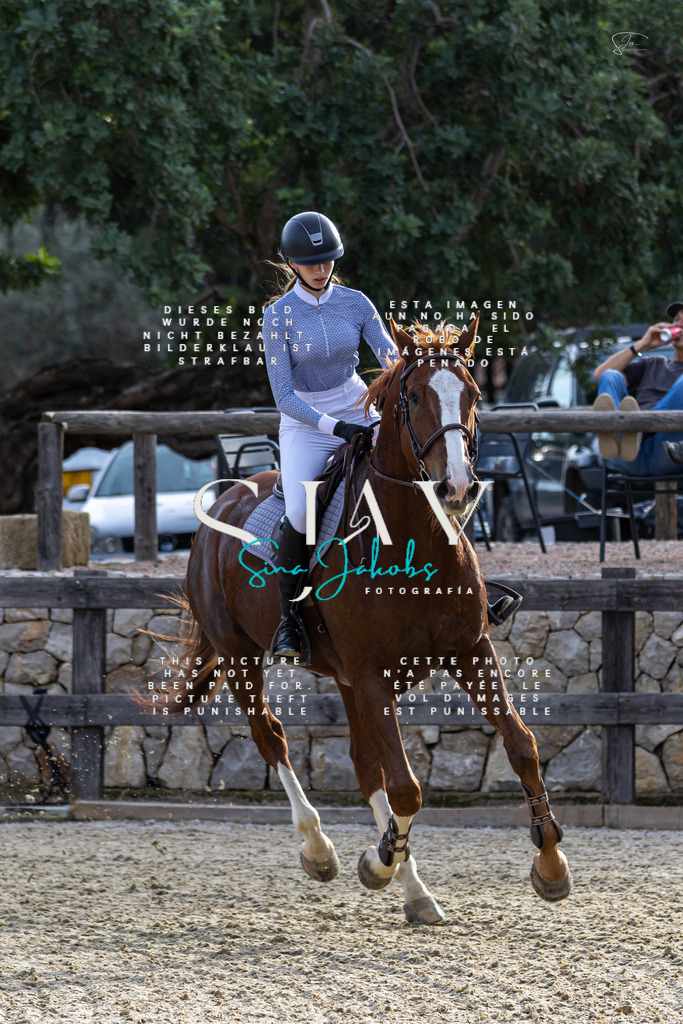 IMG_4599 | s-jay-photography - Realisiert mit Pictrs.com